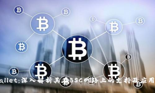 TPWallet：深入解析其在BSC网络上的支持及应用价值